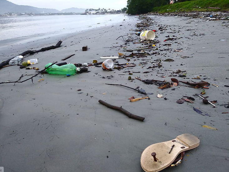 Marine debris llll.PNG