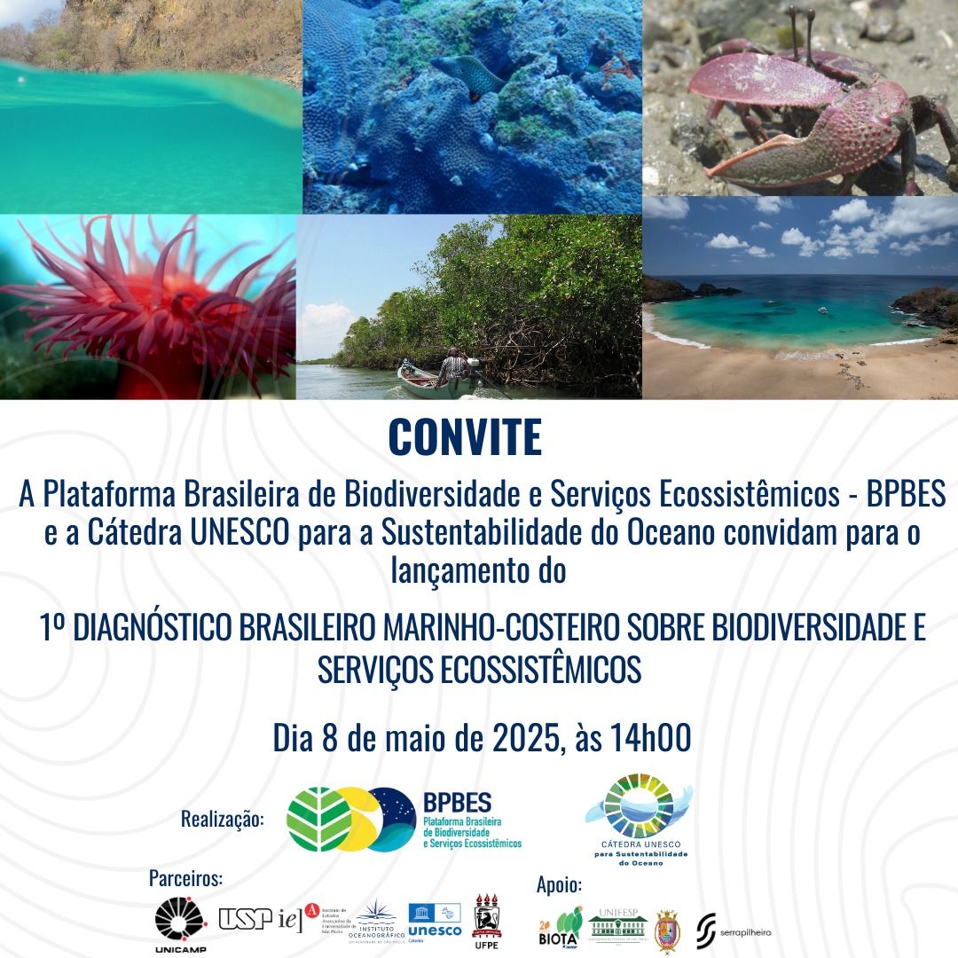 lancamento-do-primeiro-diagnostico-brasileiro-marinho-costeiro-sobre-biodiversidade-e-servicos-ecossistemicos