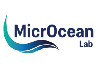 microcean 01