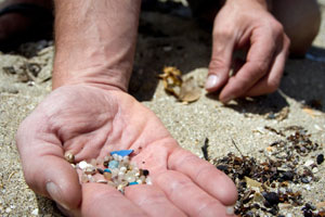 3 microplastic