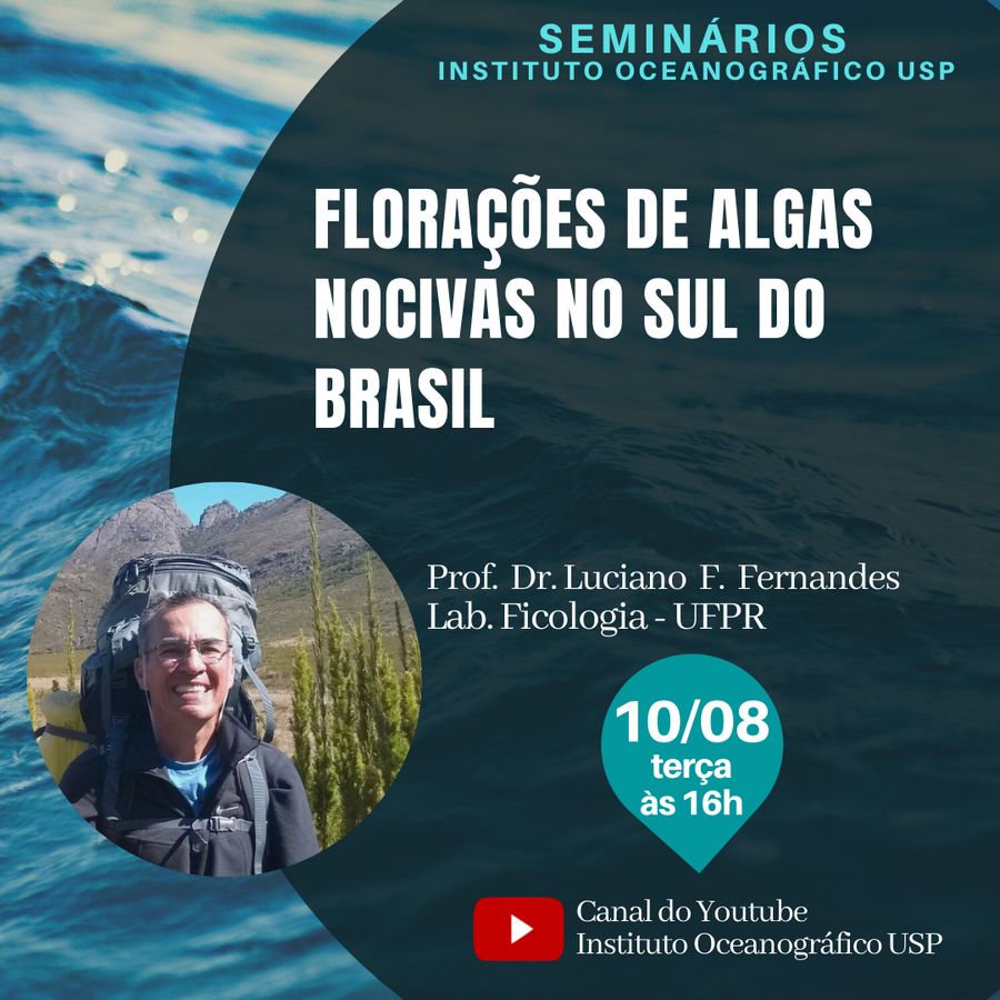 Seminário IOUSP Luciano Fernandes