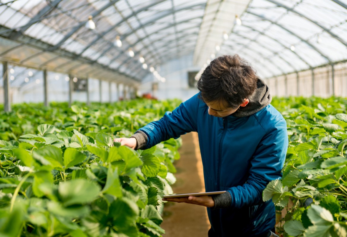 ciencias agrárias