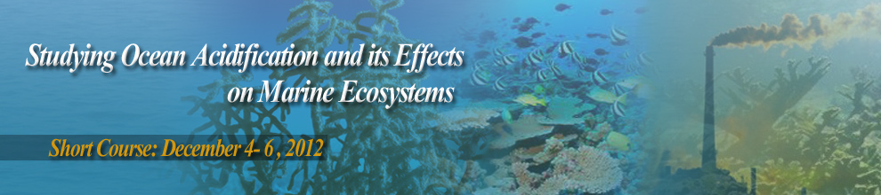 inpe curso acidification