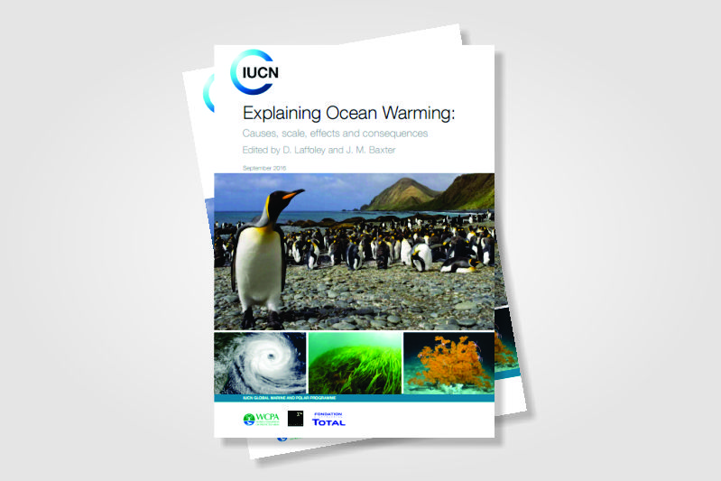 iucn explaining ocean warming iousp