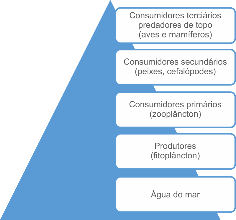 O Que é Biomagnificação O Que é Biomagnificação